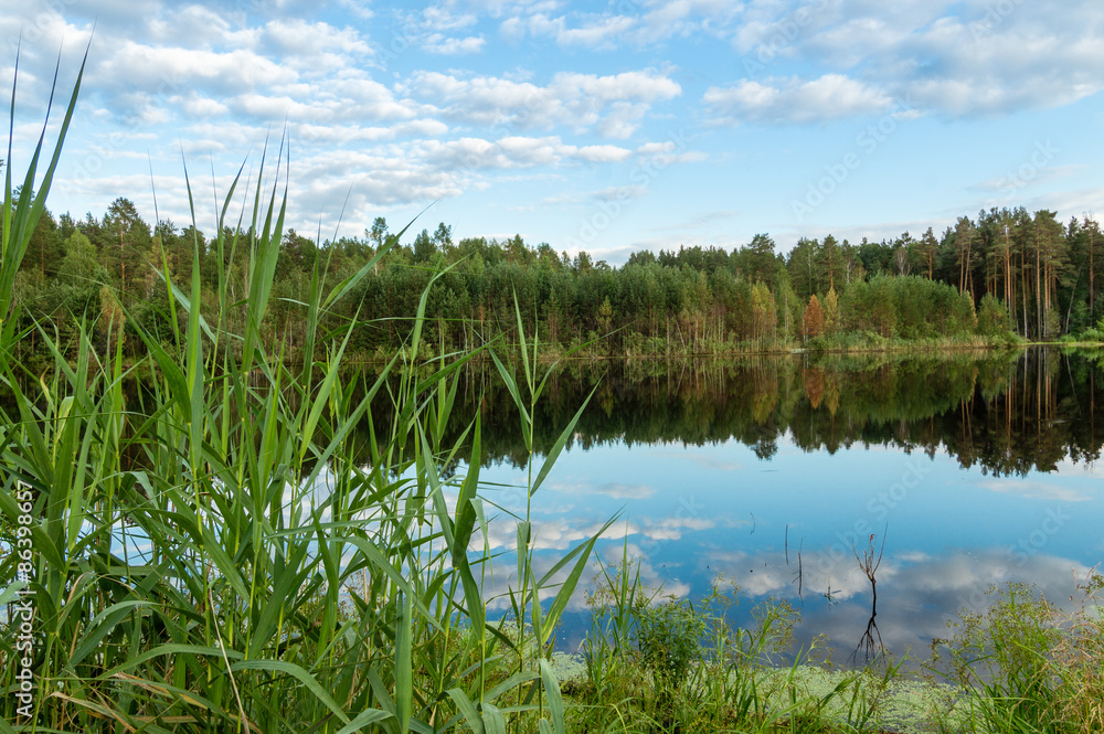 летний пейзаж на пруду с отражением леса в воде, Россия, Урал летний пейзаж на пруду с отражением леса в воде, Россия, Урал