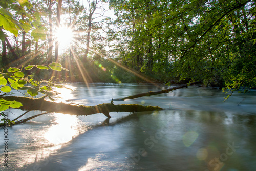 Alte Aare auf der Höhe von Lyss