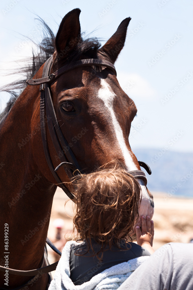 Obraz premium A child petting a horse