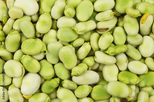 Принти на полотні Broad beans