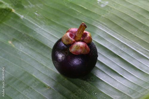 Still Life Mangosteen, Queen of fruits.