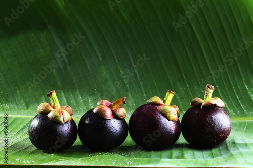 Still Life Mangosteen, Queen of fruits.