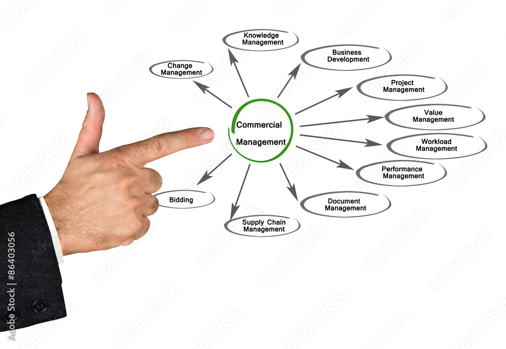 Fototapeta premium Commercial Management