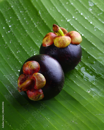 Still Life Mangosteen, Queen of fruits.