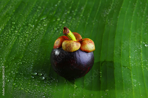 Still Life Mangosteen, Queen of fruits.