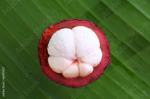 Still Life Mangosteen, Queen of fruits.