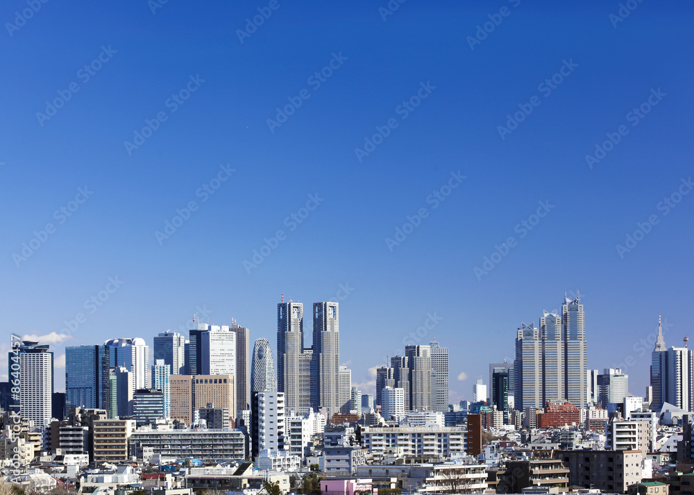 東京都庁と新宿高層ビル群　全景　快晴青空　