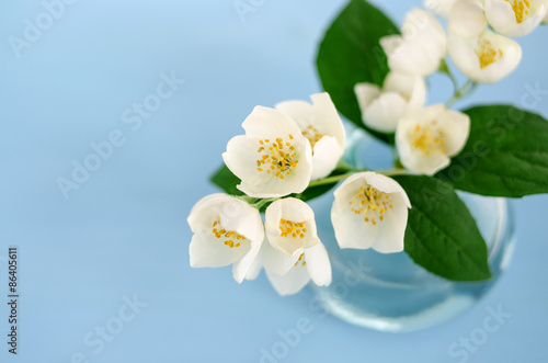 Small bouquet of jasmine on light blue background