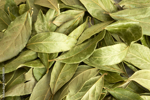 Fototapeta Dry bay leaves