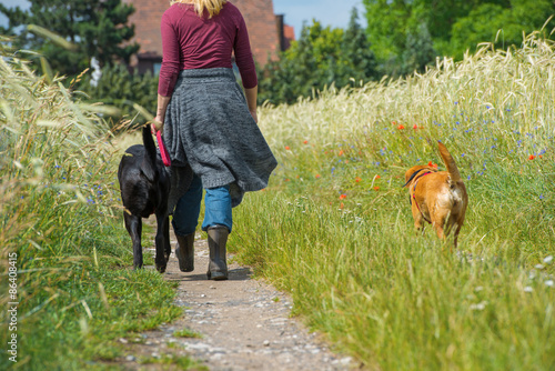 Fototapeta Naklejka Na Ścianę i Meble -  Gassi gehen