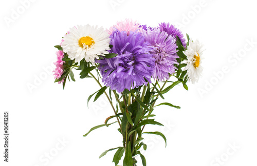 a bouquet of asters