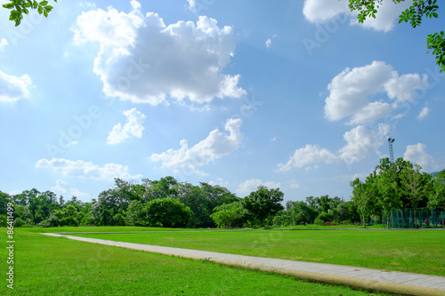 Trees and lawn on a bright summer day in green park