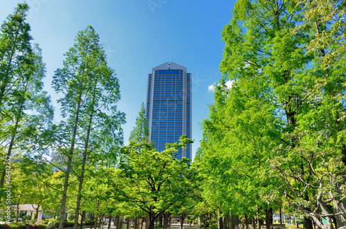 新緑の木々と神戸市役所