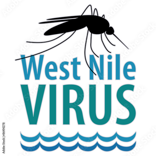 West Nile Virus disease, mosquito, standing water, graphic illustration 