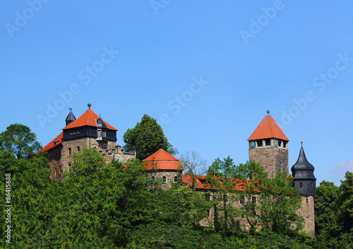 Schloss Elgersburg in Thüringen photo