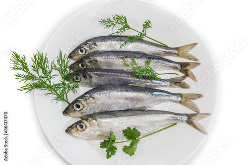 Several sprats with dill and parsley on a dish
