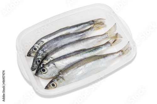 Several sprats in transparent plastic tray