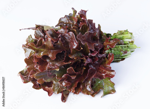 lettuce, red