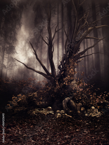 Stare drzewo z czaszkami w jesiennym lesie