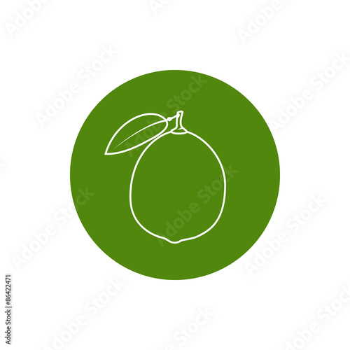 Icon Lime in the Contours