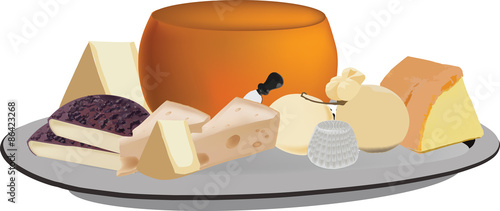 vassoio di formaggi misti di latte 