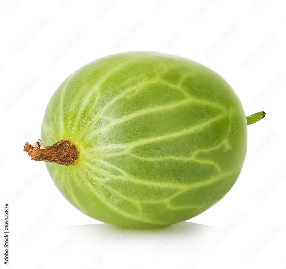 Gooseberry isolated on white background Gooseberry isolated on white background