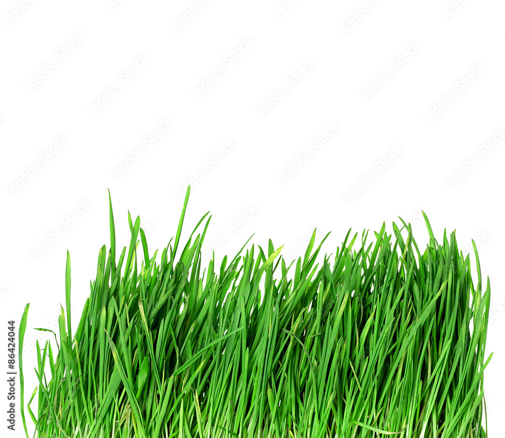 Green grass Green grass