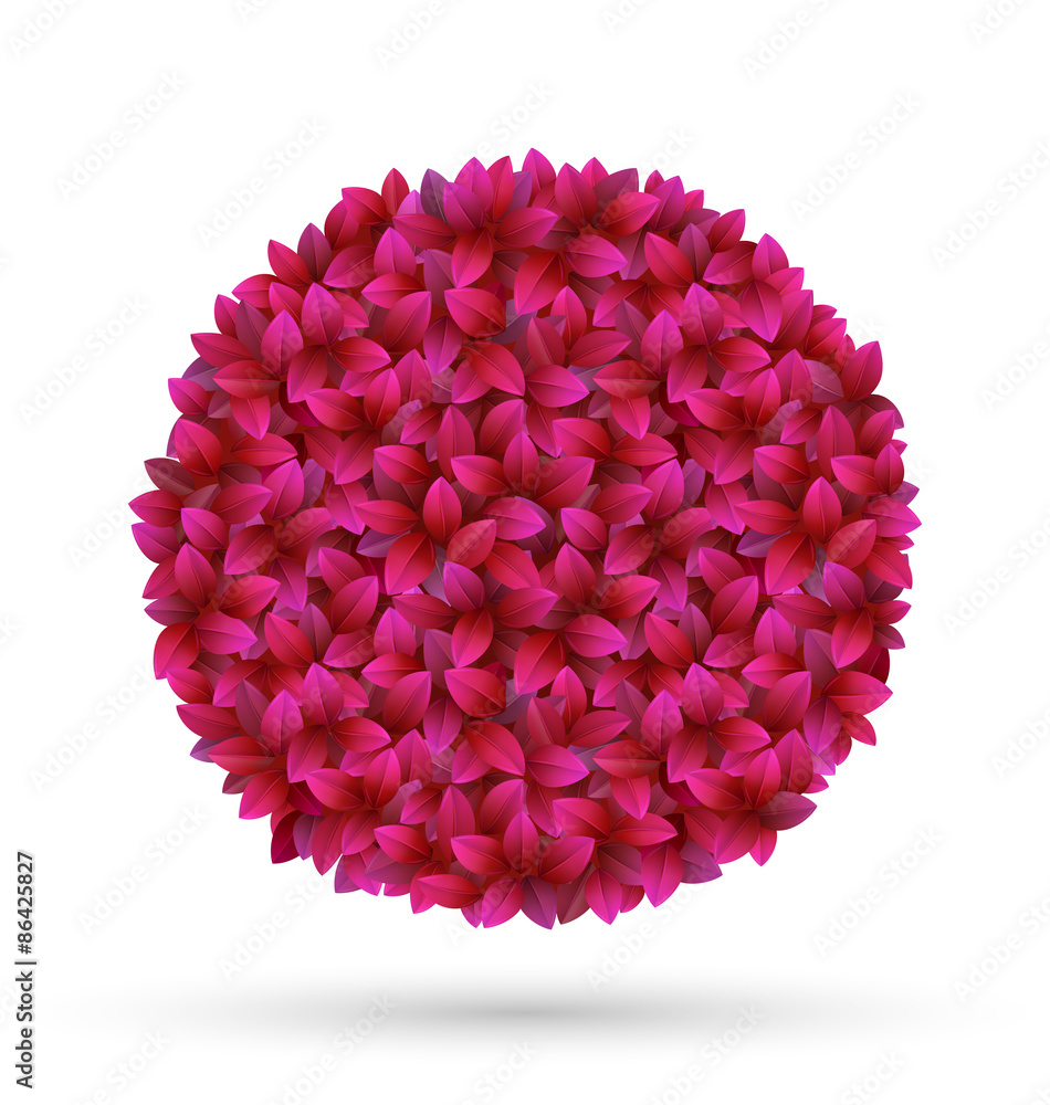 Pink flower petals circle frame isolated on white background