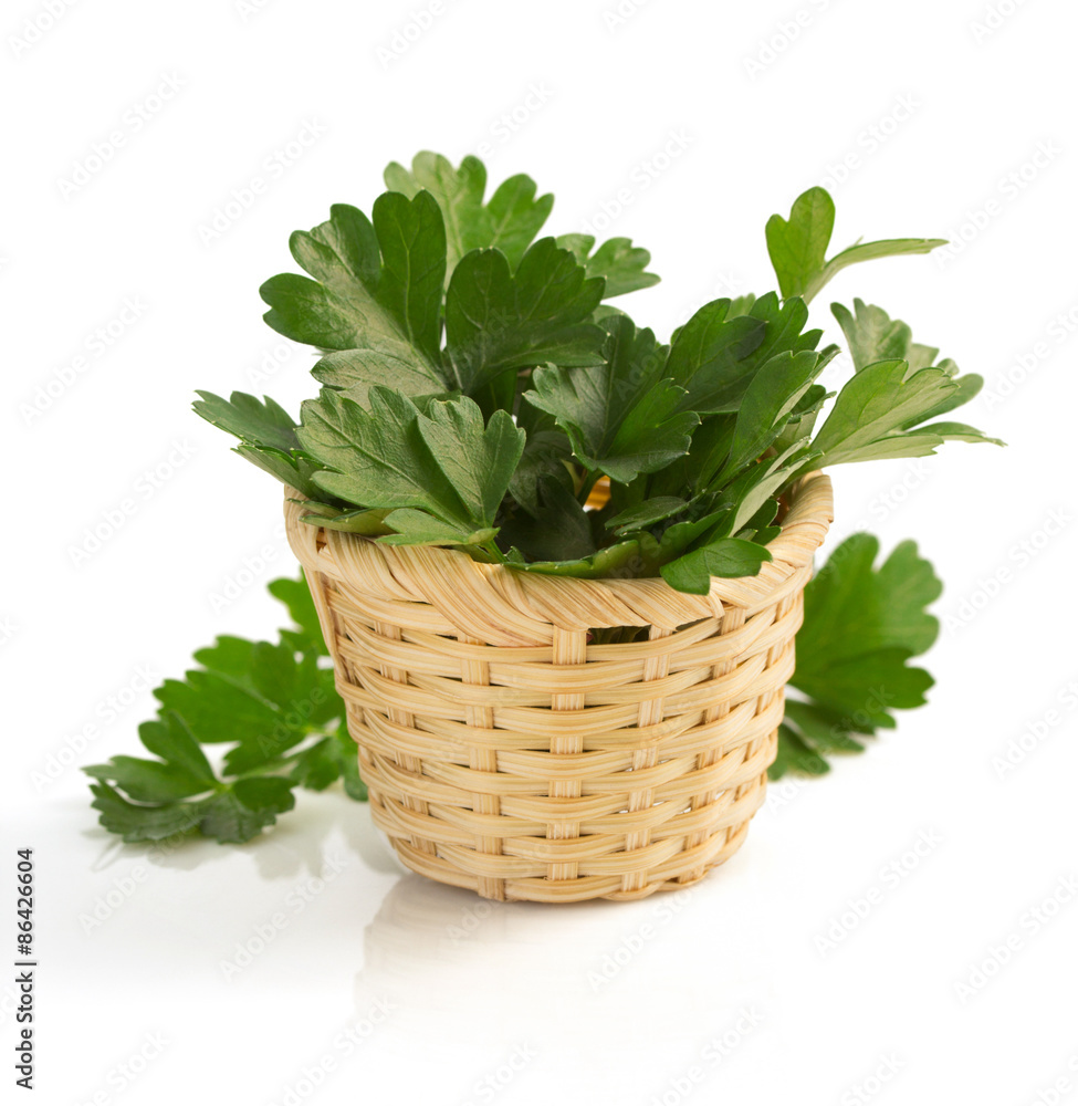 fresh parsley isolated on white fresh parsley isolated on white