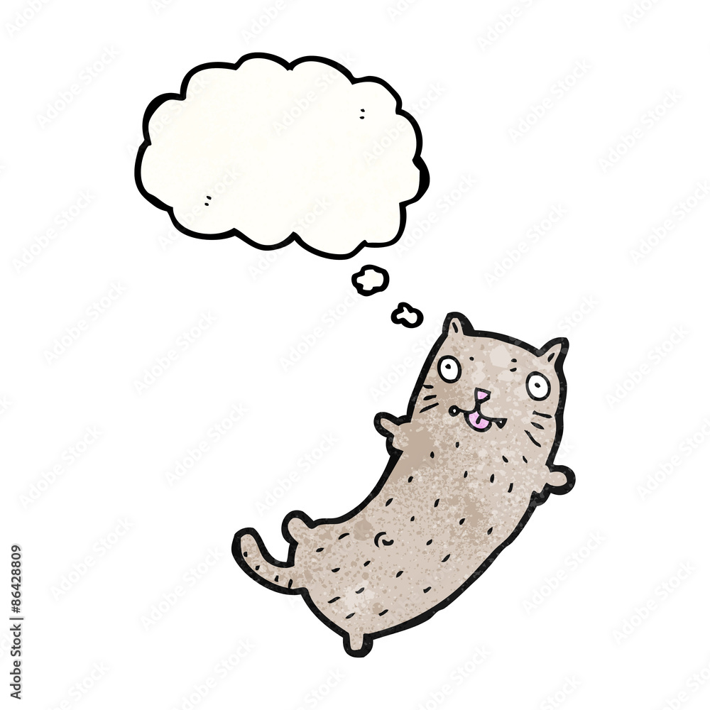 funny cartoon cat funny cartoon cat