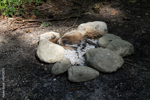 Wallpaper Mural Feuerstelle mit Steinen Torontodigital.ca