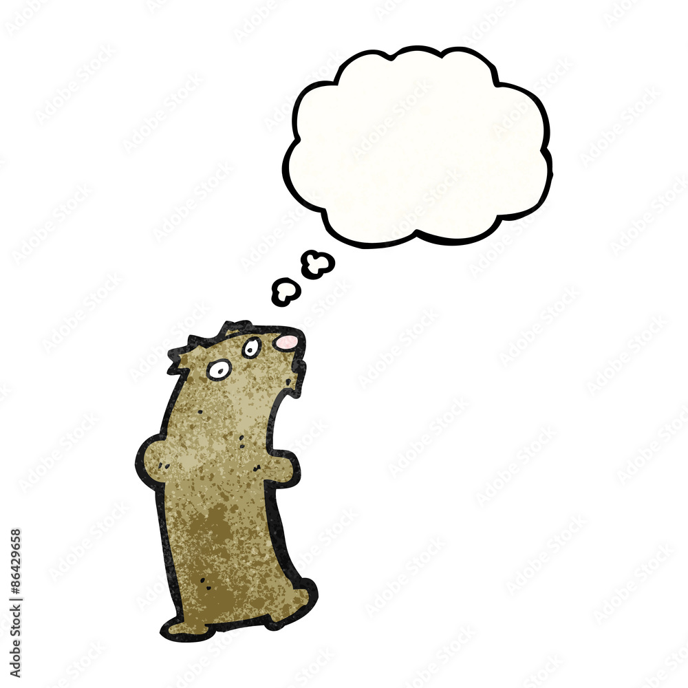 cartoon bear cartoon bear
