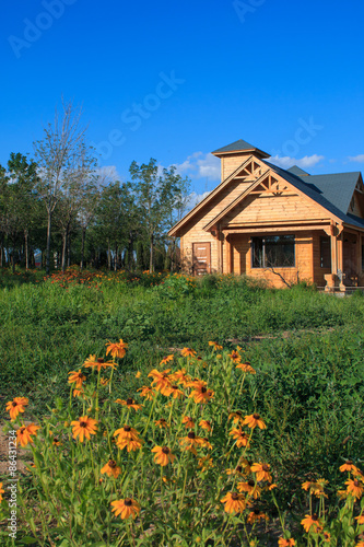 wooden country house with lawn