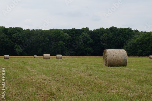 Heuballen auf Wiese vor Waldrand 1