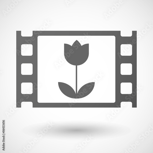35mm film frame with a tulip