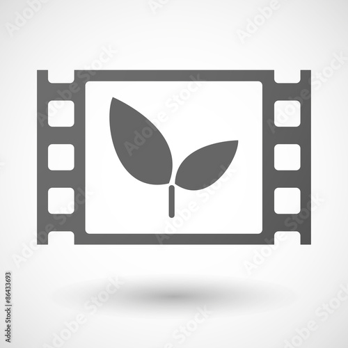 35mm film frame with a plant