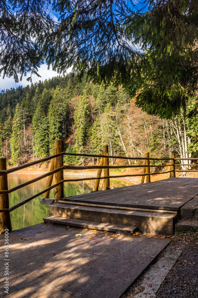 pier on mountain Lake near forest pier on mountain Lake near forest