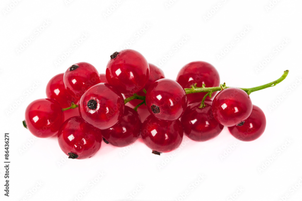 Redcurrant, isolated on white Redcurrant, isolated on white