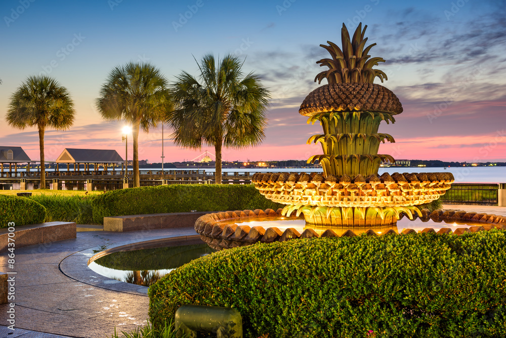 Fototapeta premium Park Charleston Waterfront