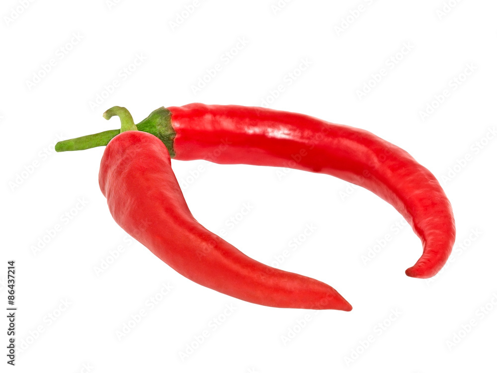 Red hot chile pepper isolated on white background.