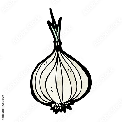 cartoon onion