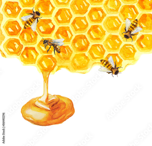 Watercolor Honeycomd and bee
