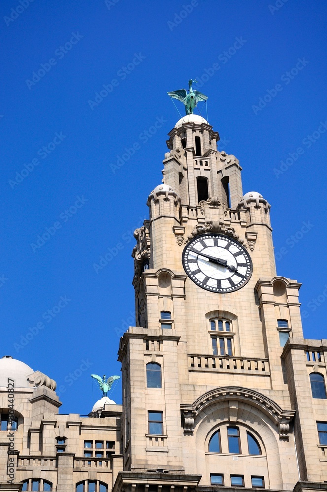 Fototapeta premium Royal Liver building clock tower, Liverpool.