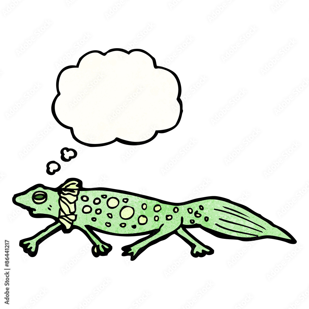 Fototapeta premium cartoon newt