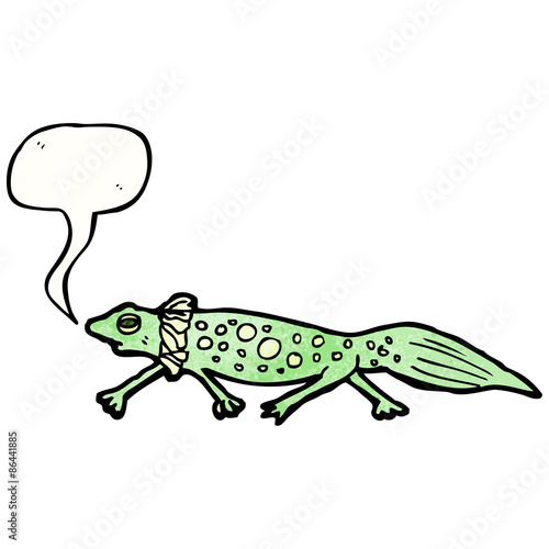 Fototapeta Naklejka Na Ścianę i Meble -  cartoon salamander
