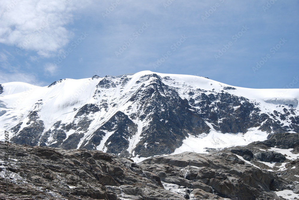 Obraz premium Pitztaler Alpen