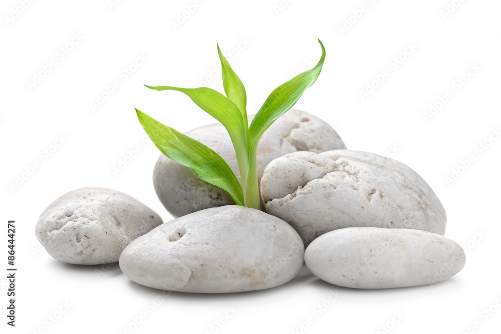 Naklejka premium zen stones