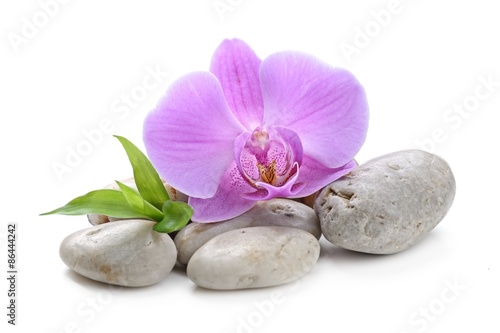 zen stones
