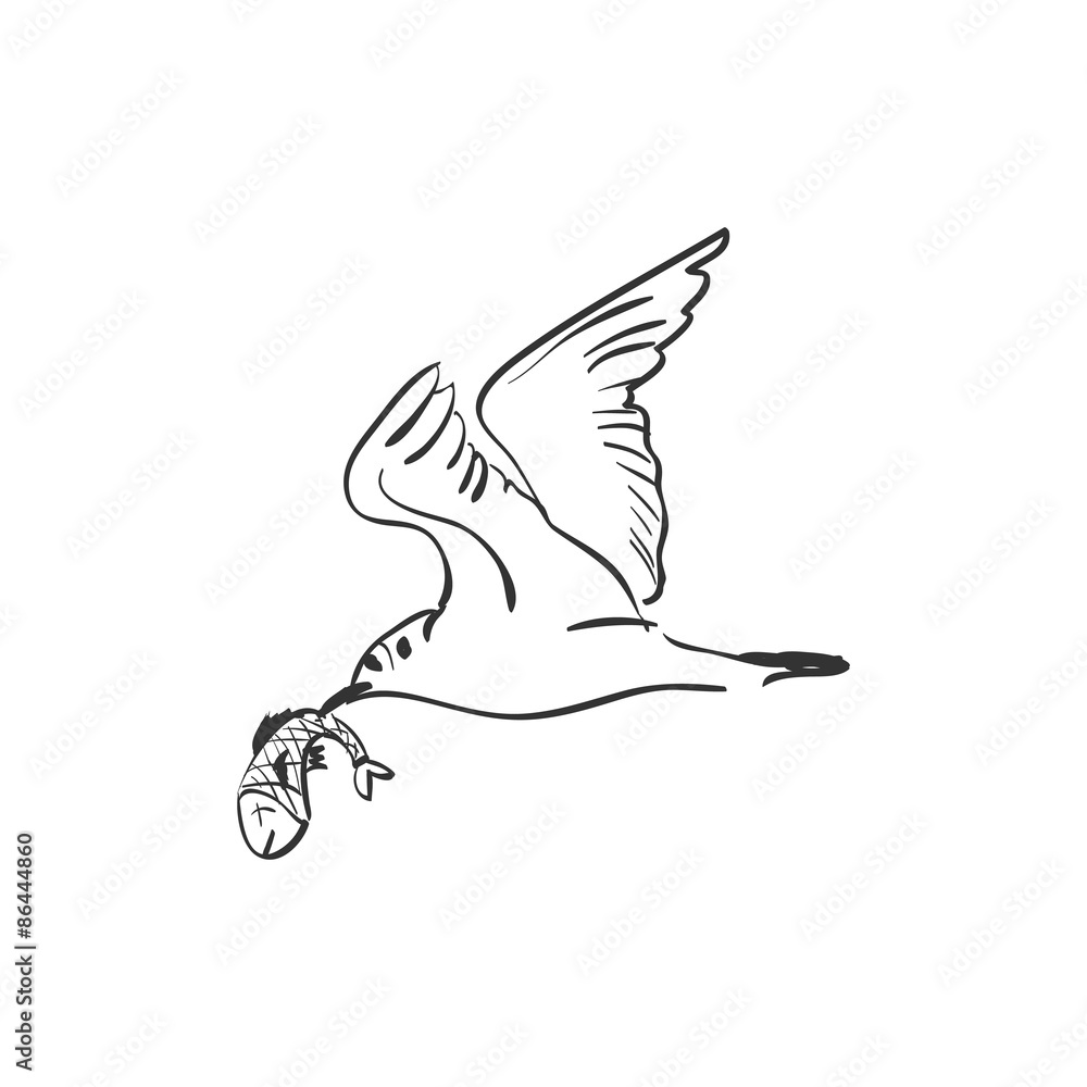 Fototapeta premium doodle seagull with fish