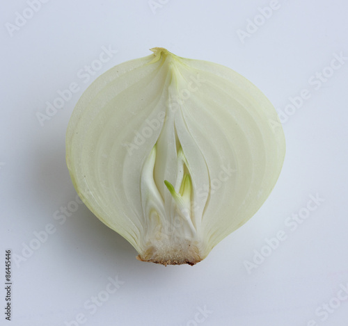Onion